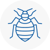 Bed Bug Extermination In Richmond Upon Thames