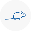 Mice Exterminators In Richmond Upon Thames